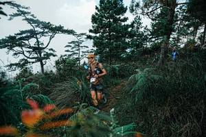 BIB: 
                            <button type="button" onclick="openModal(25260715)" class="btn btn-primary btn-sm float-right btn-popup" data-toggle="modal" data-target=".modal-high-quality">
                        <i class="fas fa-shopping-cart"></i> Add to Cart
                    </button>
                                            <button type="button" onclick="isThisMe(25260715, true)" class="btn btn-success btn-sm float-right btn-popup btn-isme hidden" data-toggle="tooltip" data-placement="bottom" title="นี่คือรูปของคุณใช่ไหม คลิกที่นี่เพื่อเอาเข้าอัลบั้ม">
                        <i class="fas fa-plus"></i> Add to album
                    </button>
                    <button type="button" onclick="isThisMe(25260715, false)" class="btn btn-warning btn-sm float-right btn-popup btn-isnotme hidden">
                        <i class="fas fa-ban"></i> Remove from album
                    </button>